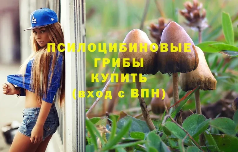 Псилоцибиновые грибы Psilocybe  дарк нет клад  Новосибирск 